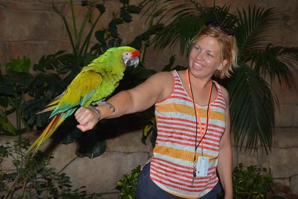 woman with green parrot sitting on outstretched arm Discovery Cove Orlando