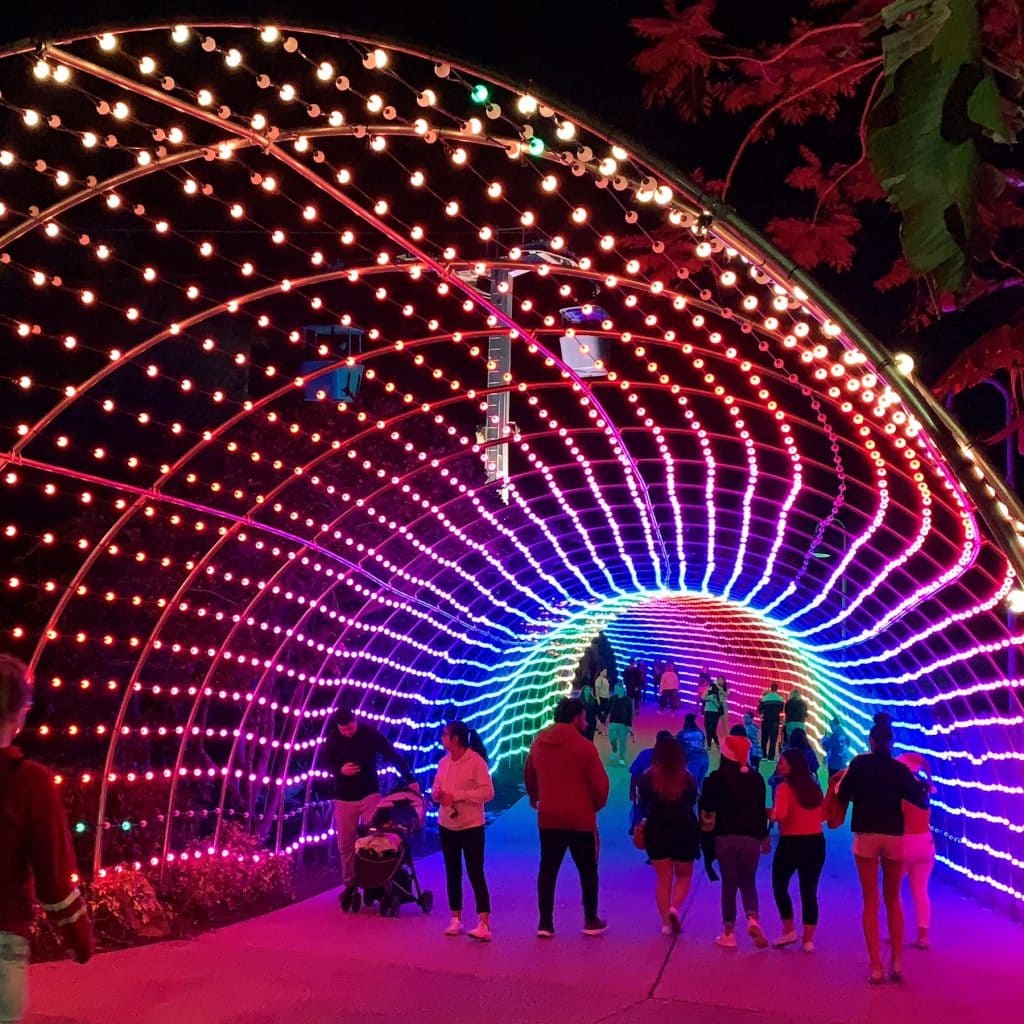 LIght Tunnel Busch Gardens Christmas Town Tampa Bay