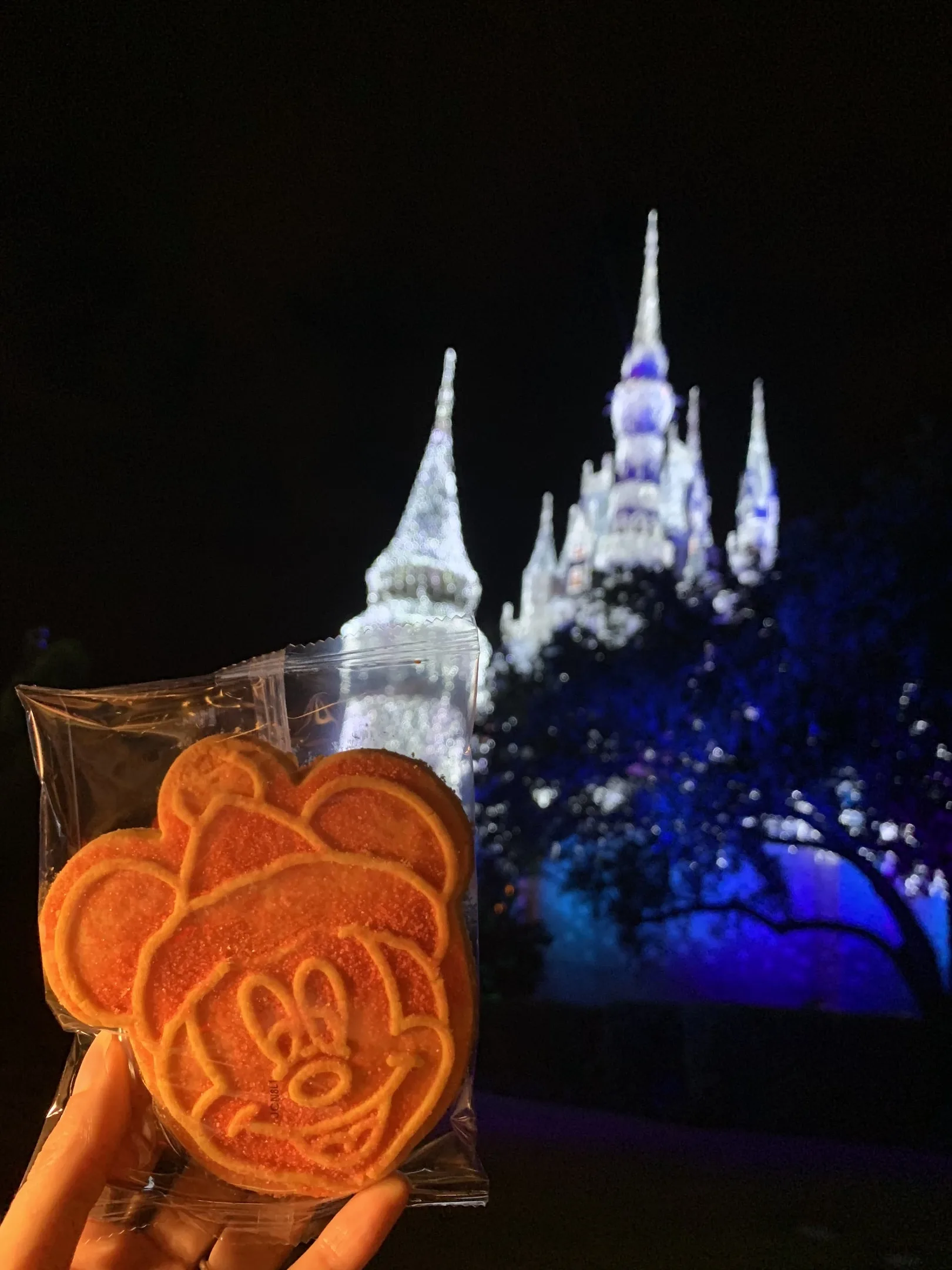 Mickey Shaped Cookie Mickey's Very Merry Christmas Party Magic Kingdom