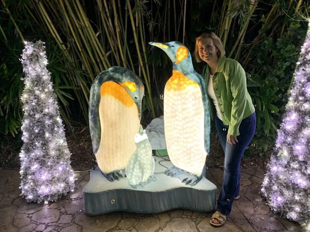 Penguins Busch Gardens Christmas Town Tampa Bay