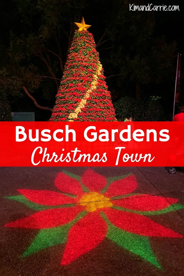 Poinsettia Tree Busch Gardens Christmas Town Tampa Bay