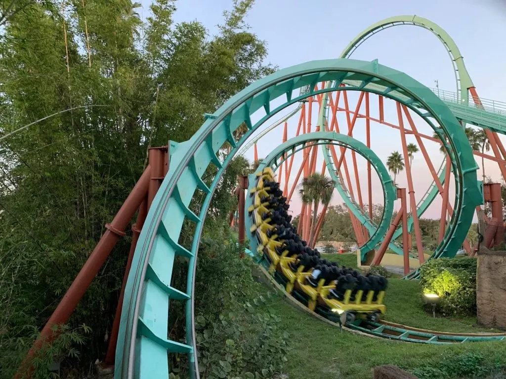 Roller Coaster Busch Gardens