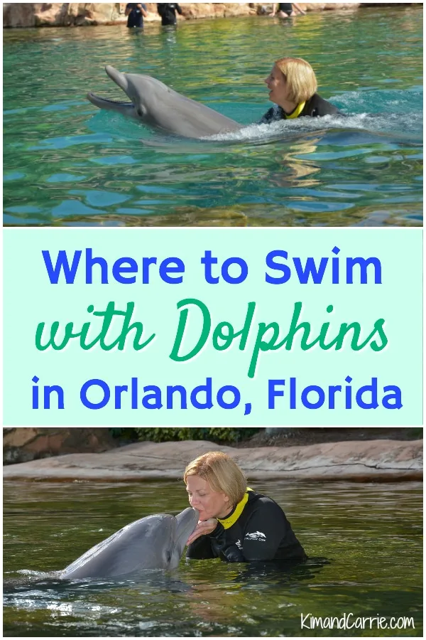 swimming with dolphins in Orlando Florida