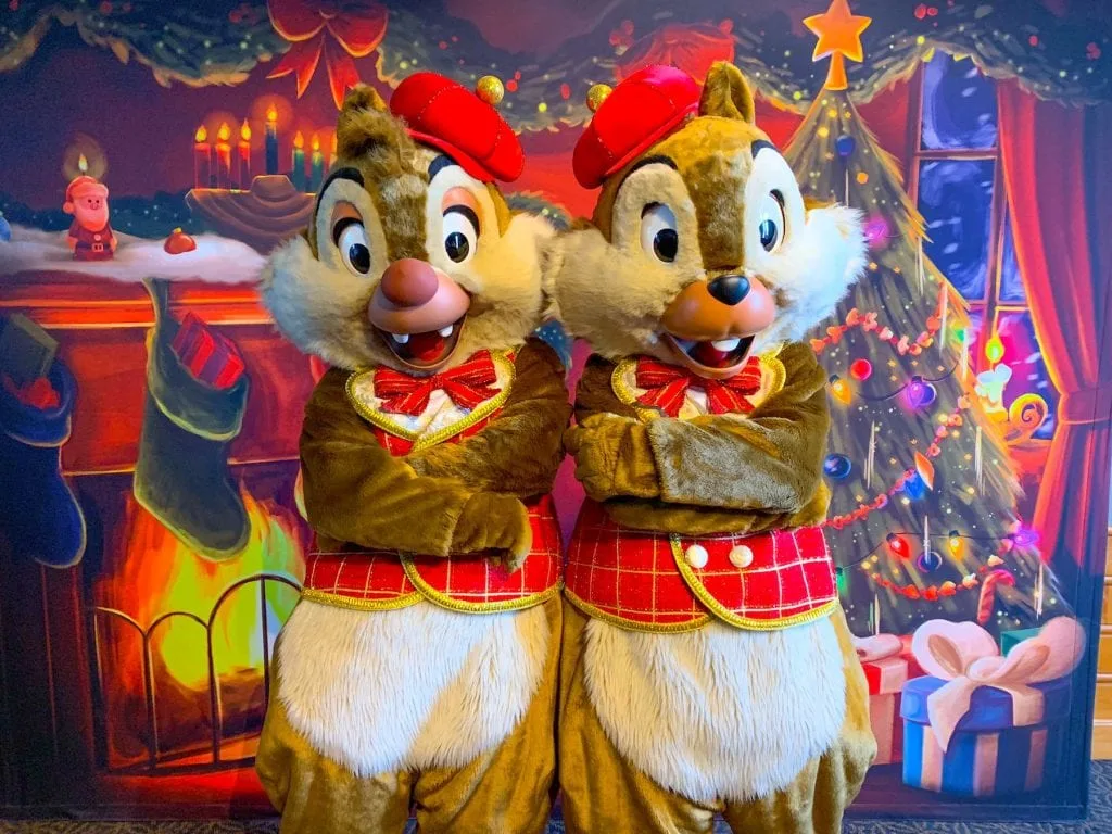 Chip and Dale Epcot Christmas Outfit