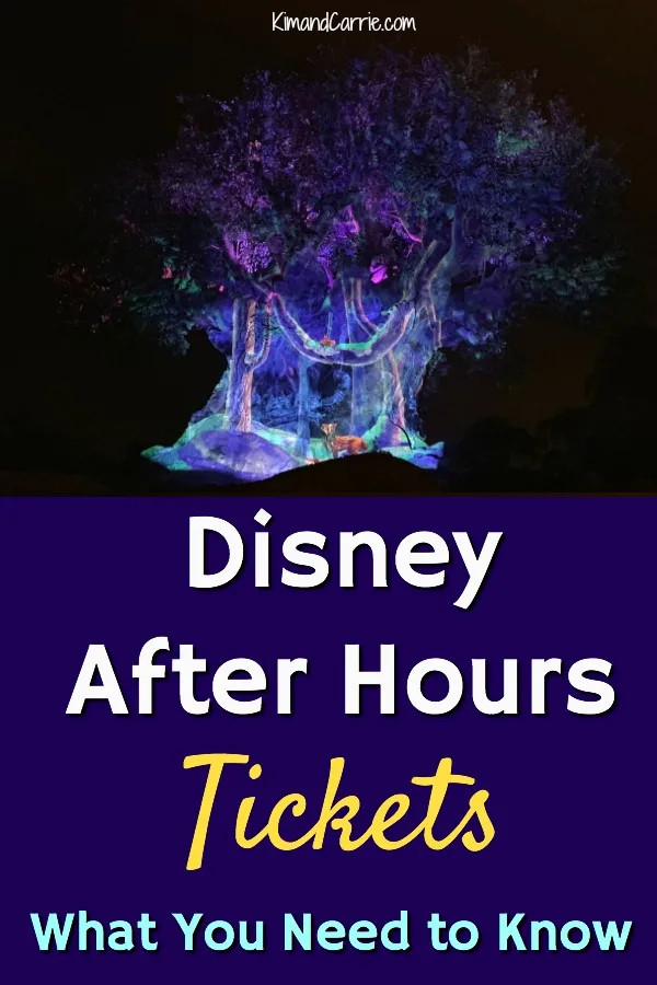 Disney After Hours Tickets What to Know