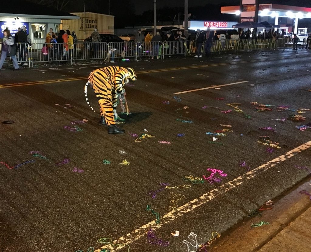 woman wearing tiger outfit Scooping up Mardi Gras Beads Lake Charles Parade in the street