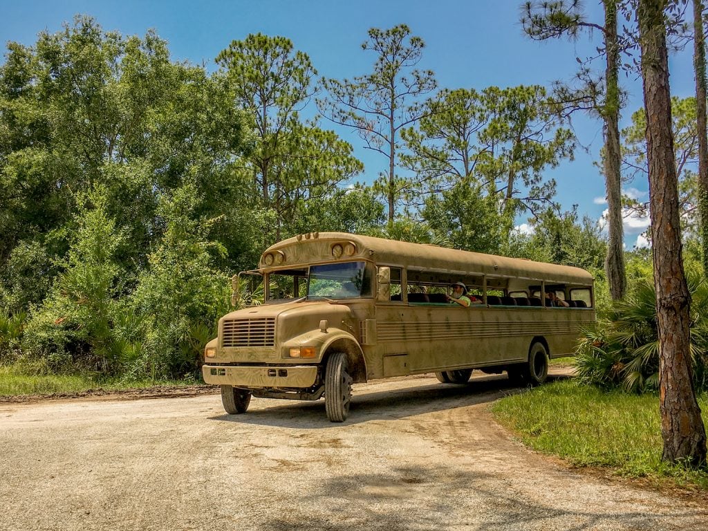 swamp buggy eco tour Babcock Ranch punta gorda fl