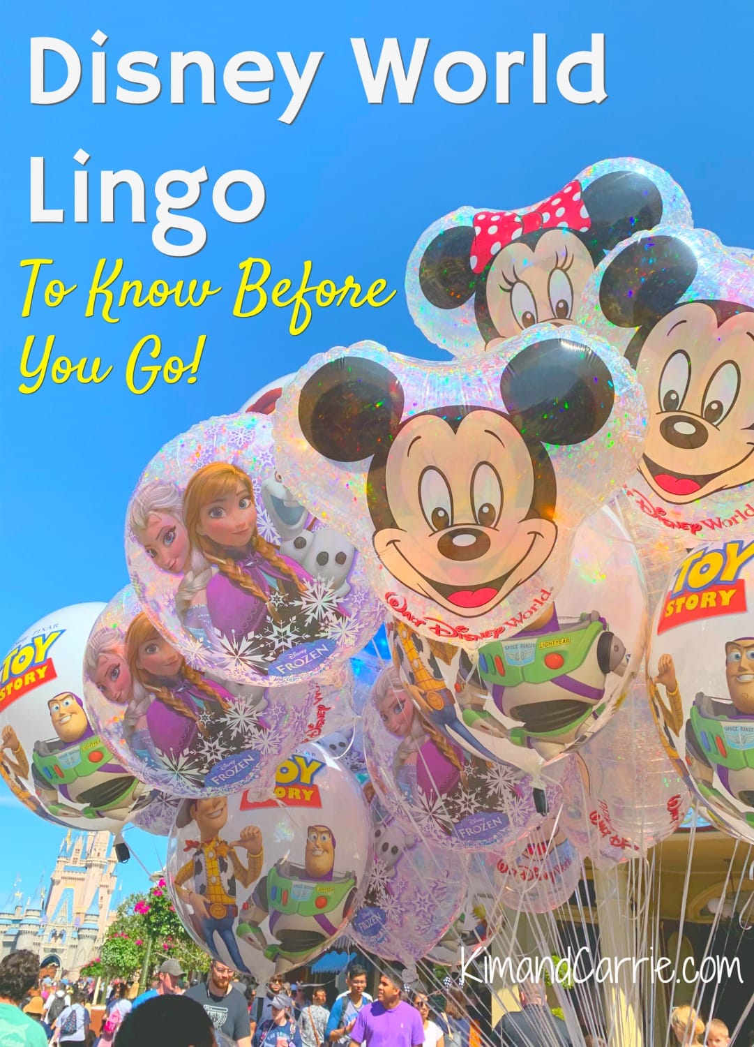 Walt Disney World Lingo Cheat Sheet for New Guests - Wanderful 