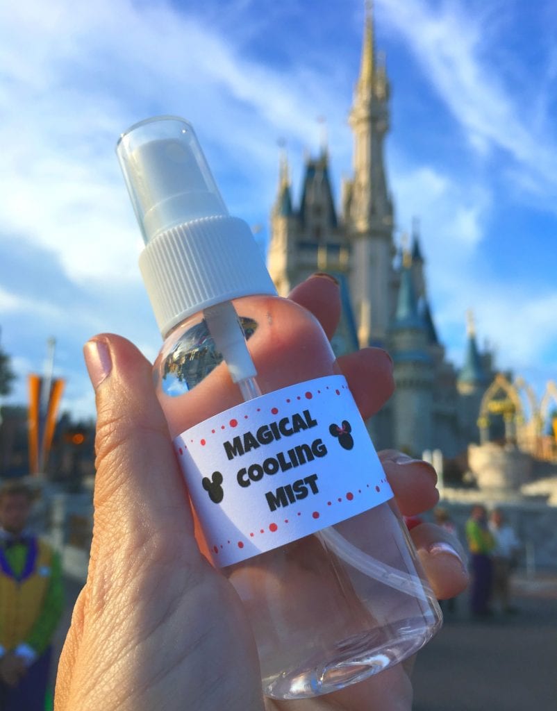 magical cooling spray bottle in front of Cinderella Castle Disney World Florida