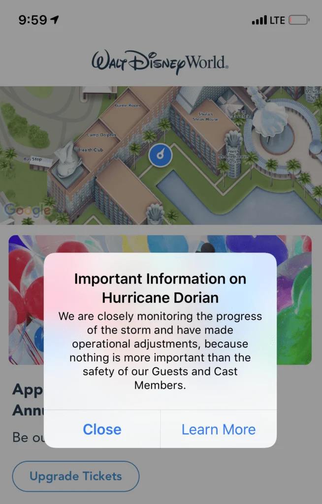 Disney World text alert hurricane