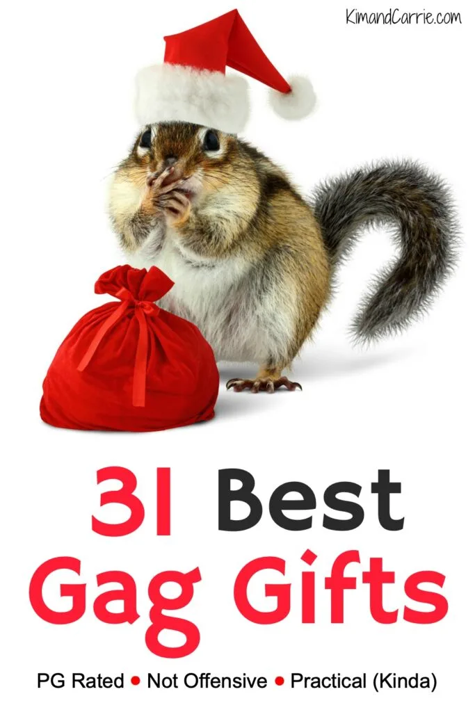 chipmunk wearing Santa hat with a tiny red bag of best gag gifts