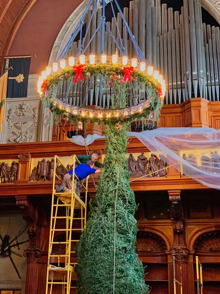 men on ladder hanging lights on Biltmore Christmas tree