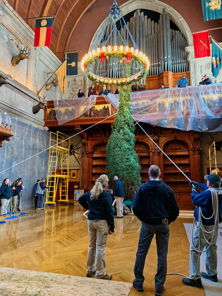 How to See the Biltmore Christmas Tree Raising Wanderful World of Travel