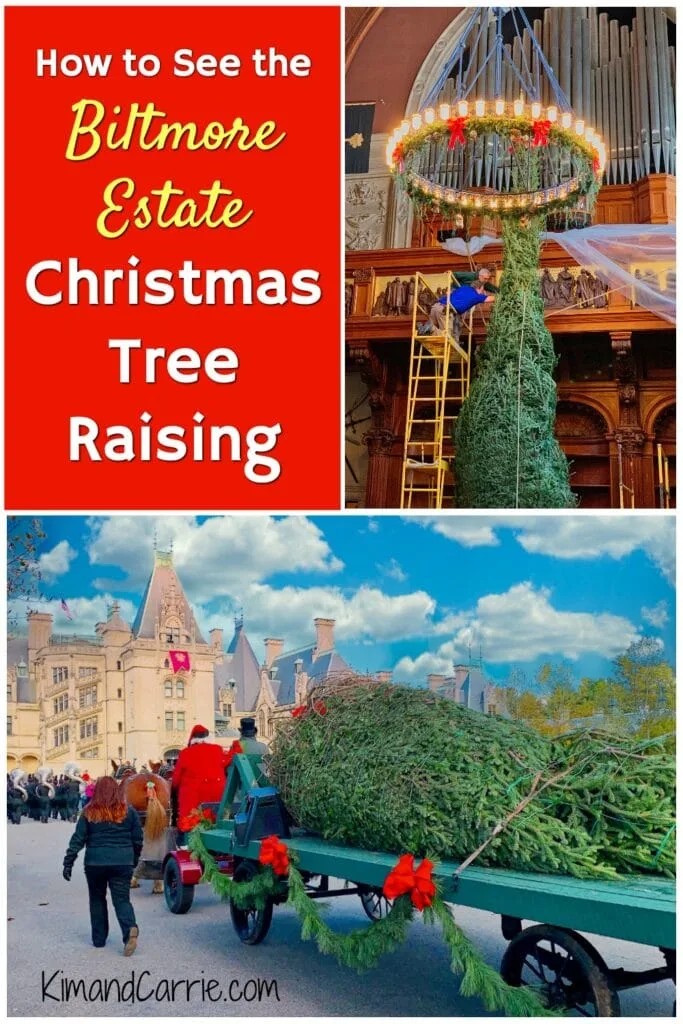 Biltmore Estate Christmas tree raising