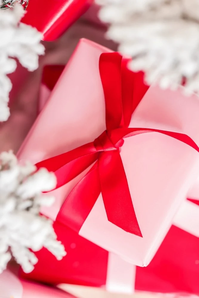 present wrapped in pink paper and red bow under white tree branches