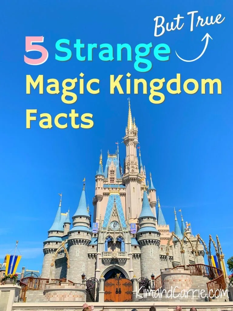 Magic Kingdom Castle Orlando