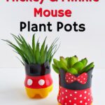 upcycling plastic bottles Mickey Mouse succulent pot