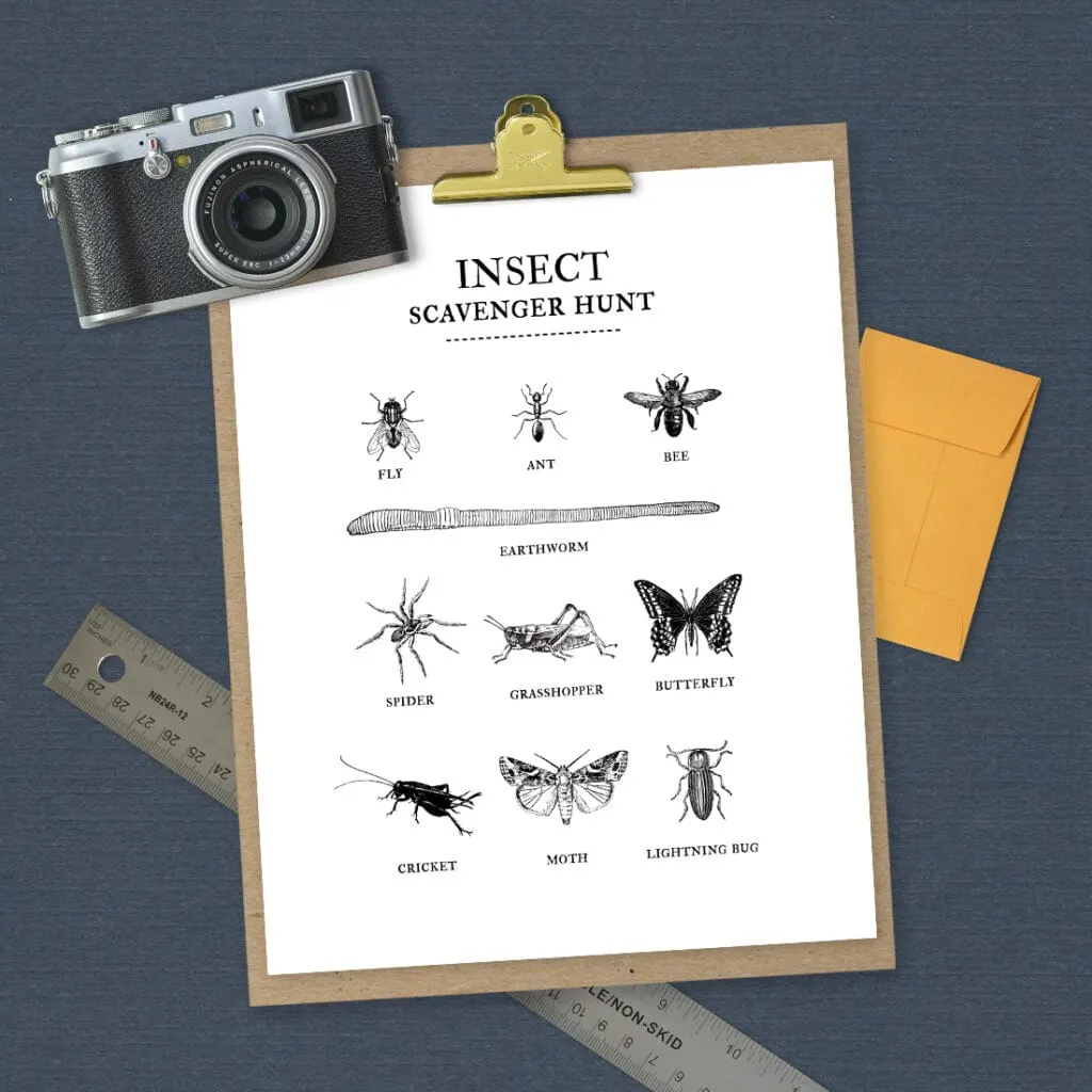 insect scavenger hunt printable on navy background