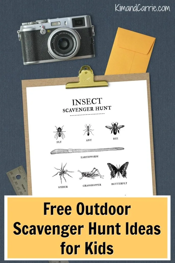 insect scavenger hunt with old camera on navy backdrop