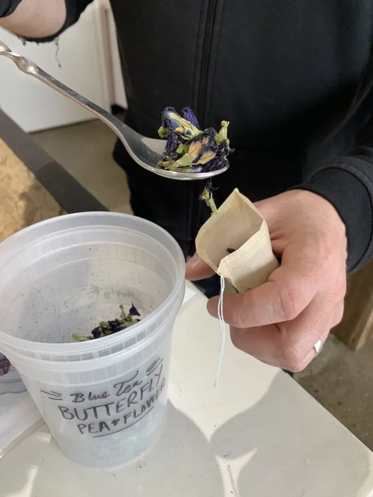 man scooping butterfly pea flower into a tea bag