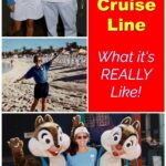 work on disney cruise line