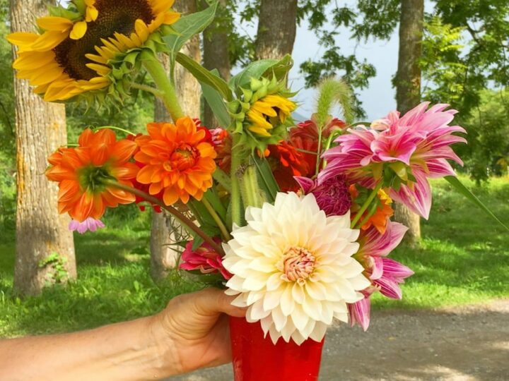 red solo cup filled with picked wildflowers