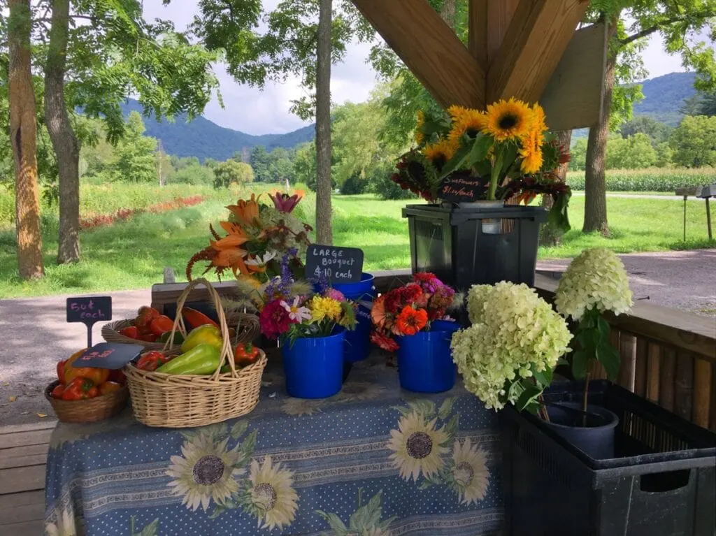 farmstead with produce and flowers with mountains in background