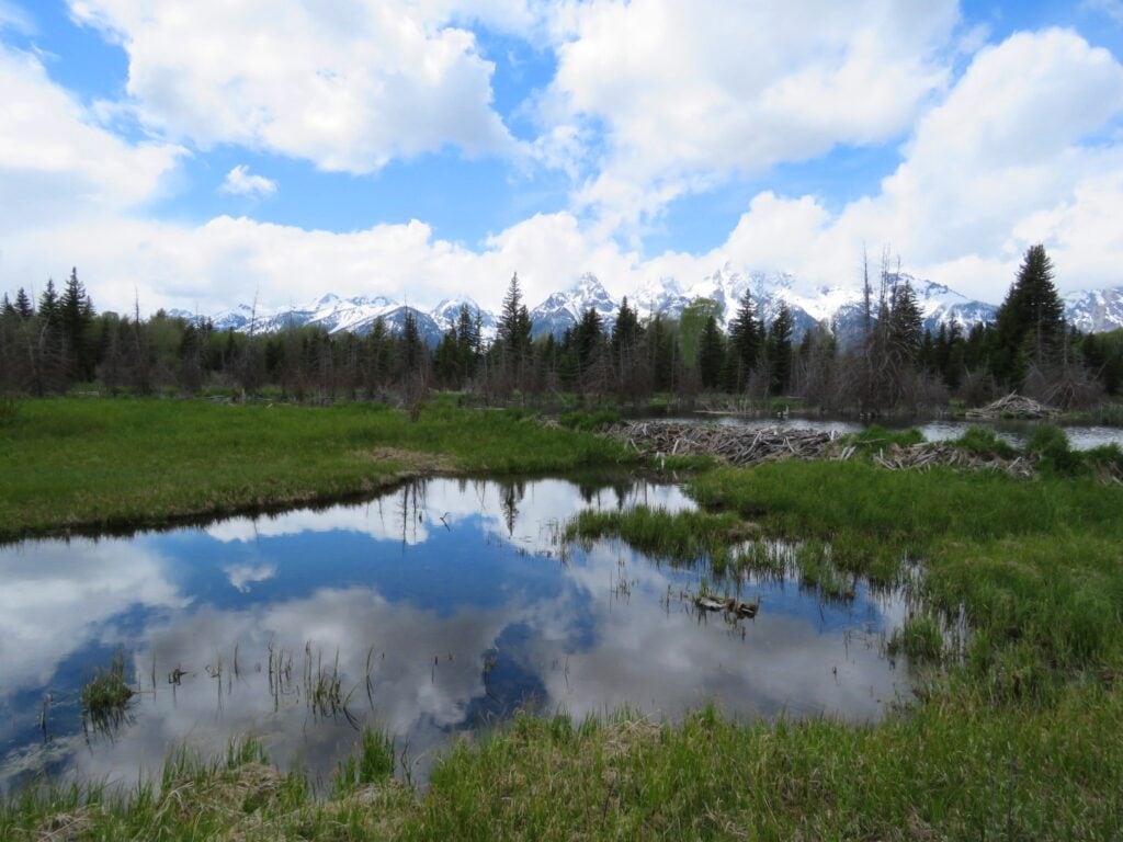 Grand Teton National Park landscape
