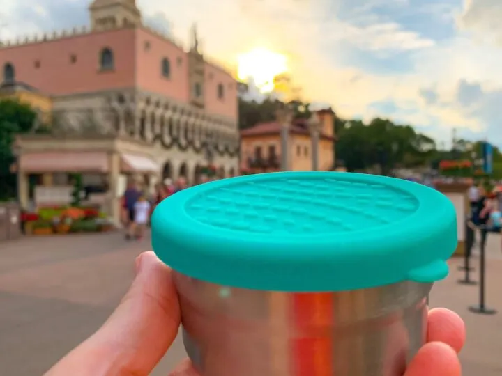 ECOlunchbox stainless steel bowl in Epcot at Disney World