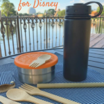 zero waste picnic kit at Disney World