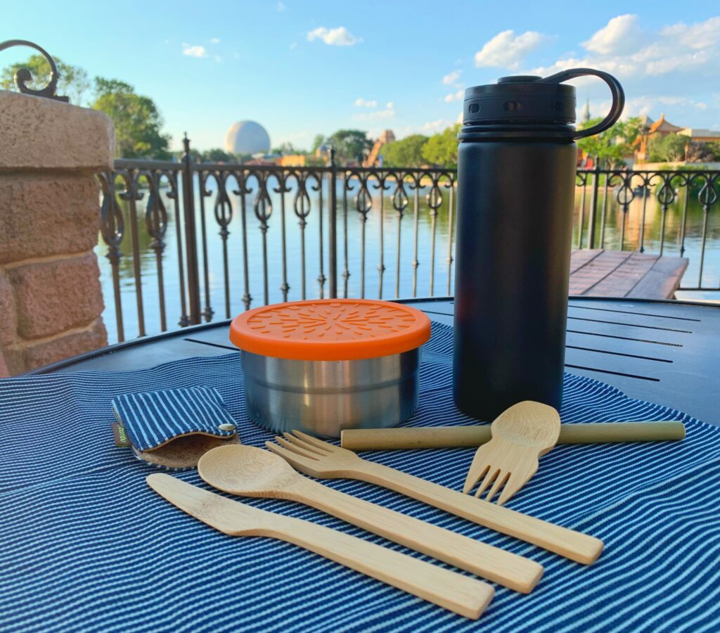 reusable utensil kit for Disney