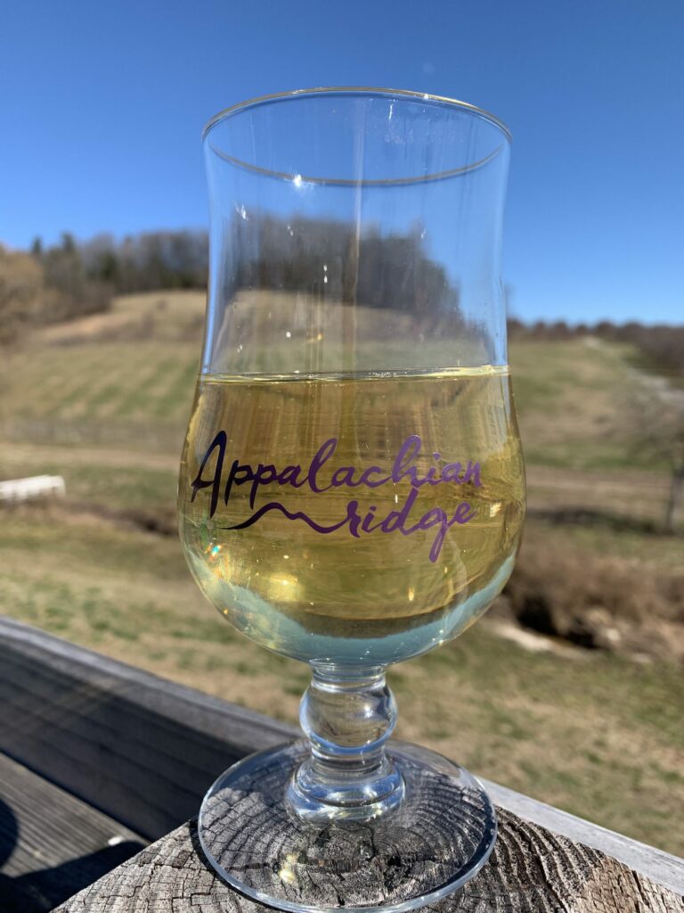 glass of Appalachian Ridge hard apple cider with orchards in distance