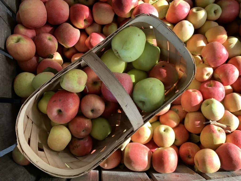 3 Best Hendersonville Cideries From Bushel to Bottle Wanderful World