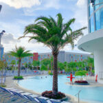universal Aventura Hotel pool with palm tree and life guard