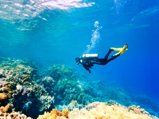 Female scuba diver swimming under water