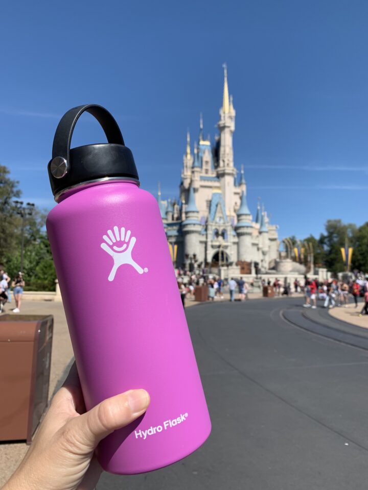 9 Best Water Bottles for Disney World in 2024 Kim and Carrie