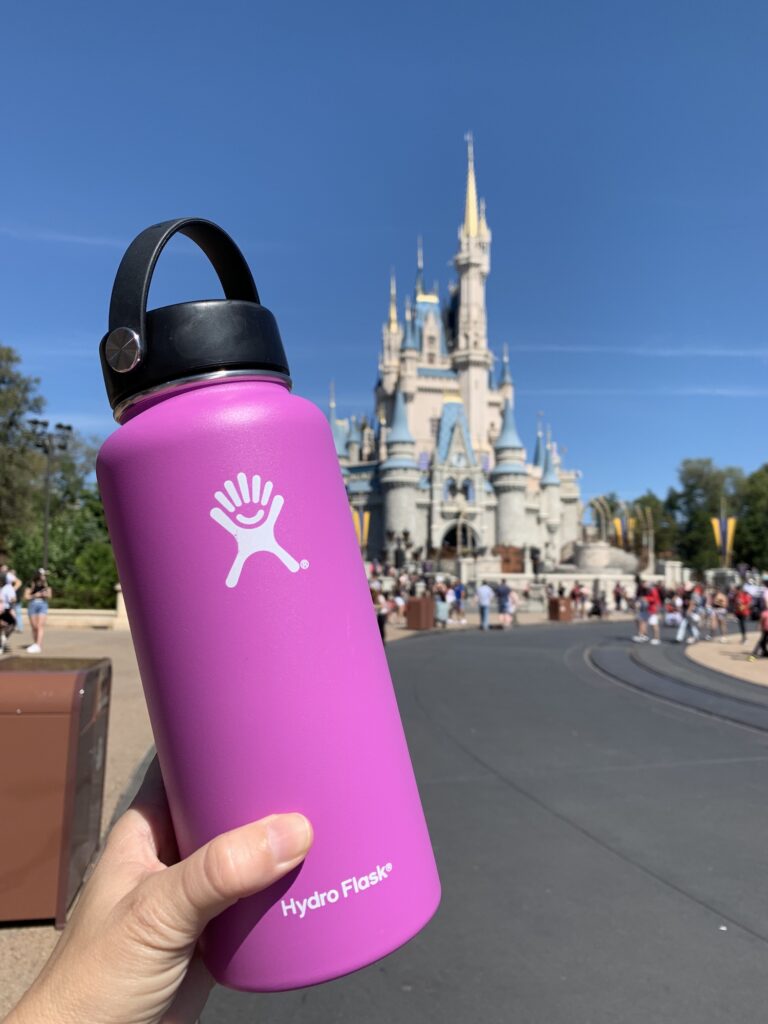 2020 DISNEY PARKS FAST PASS TO FRIDAY WATER BOTTLE 