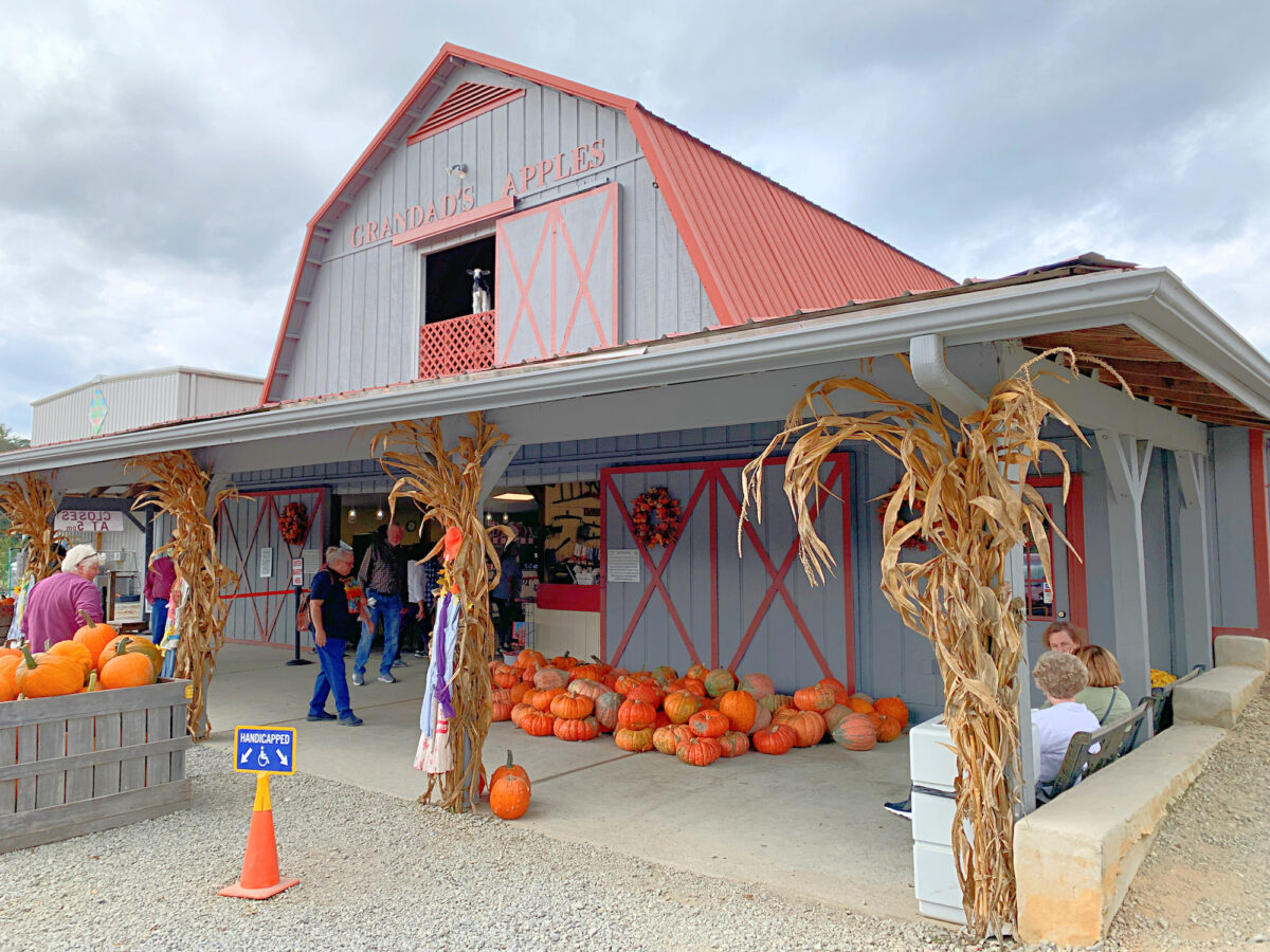 Ultimate Guide to Apple Orchards in Hendersonville, NC + Map (2024