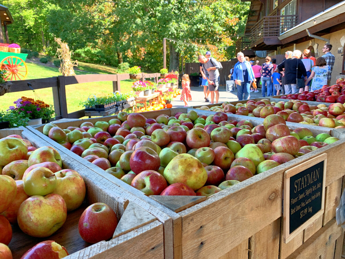 Wanderful World of Travel Travel Destinations, Itineraries and