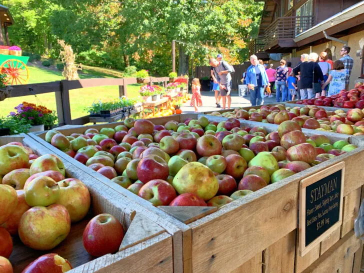 box of apples with people waiting in line to order donuts in the background