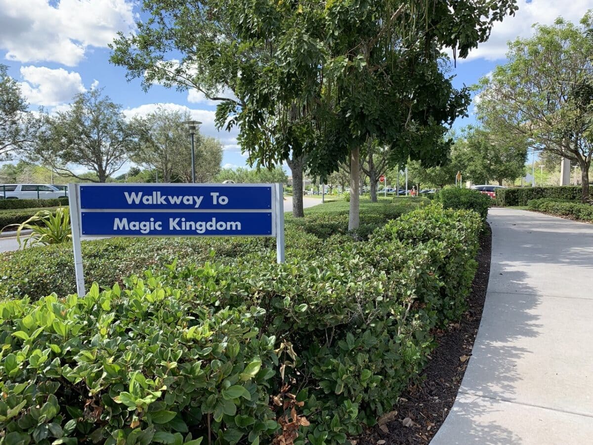 travel from disney springs to magic kingdom