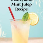 mint julep in a clear glass topped with a lemon wedge and mint leaf displayed in front of blue floral background