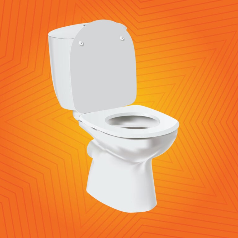 graphic of a white toilet against a orange background