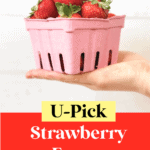 hand holding a pink basket full of strawberries against white background