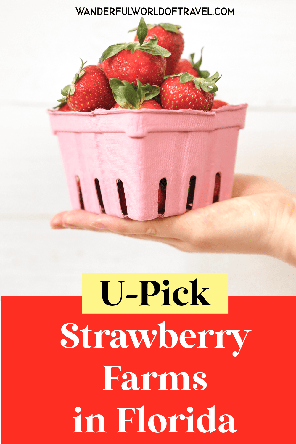 UPick Strawberry Farms in Florida in 2023 Kim and Carrie