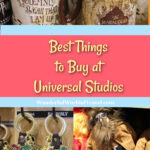 mugs, keychains and plush dolls at universal studios Orlando