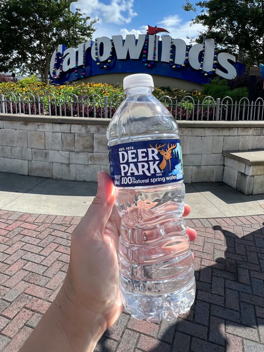 43 Carowinds Tips and Tricks for 2024 (and Beyond) Kim and Carrie