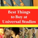 pins, plush dolls and keychains in store at universal studios