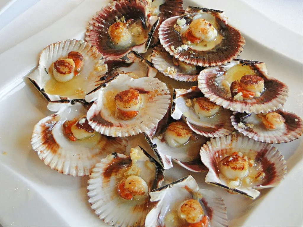 A plate of scallops from Asturias, Spain, on a white plate.
