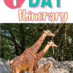 A giraffe and two giraffes with the text 1 day itinerary Ashboro, NC.